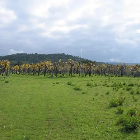 Il Canto Di Kokopelli Country 3*