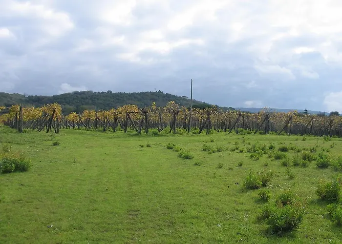 Il Canto Di Kokopelli Country 3*